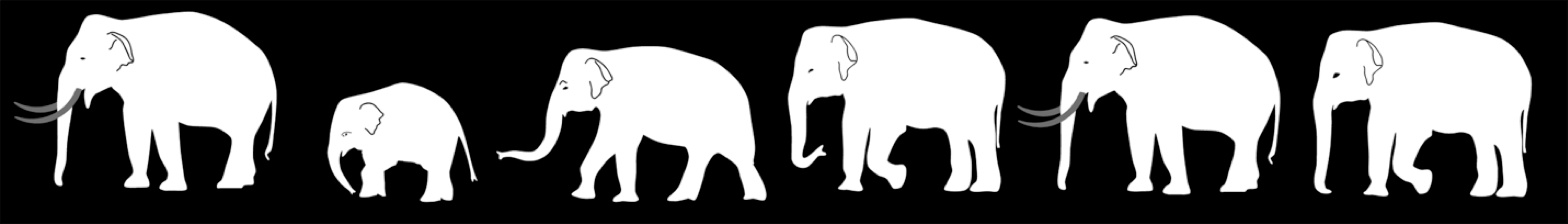 Solidarité avec les peuples d’un grand continent : Le STTP souligne le Mois du patrimoine asiatique et du patrimoine sud-asiatique Solidarité avec les peuples d’un grand continent : Le STTP souligne le Mois du patrimoine asiatique et du patrimoine sud-asiatique