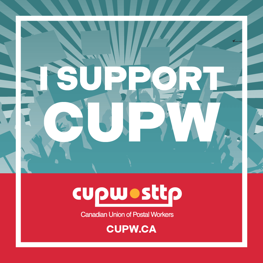 Social Media Profile Picture